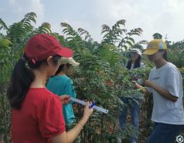 化学与生命科学学院走进青白江区开展暑期社会实践活动